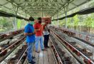 Usaha Peternakan Ayam, Santri di Tabalong Meraup Omzet Rp 16,5 Juta Per Bulan - JPNN.com