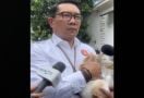 Ridwan Kamil Menggendong Kucing Warna Oranye, Katanya seperti Jakarta - JPNN.com