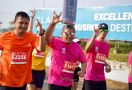 Ikut Lomba Lari 10 Kilometer, Hasto: Olahraga Mengajarkan Bertarung secara Adil - JPNN.com