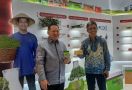 Dorong Kemandirian Farmasi Nasional, Fitofarmaka Harus Masuk JKN - JPNN.com