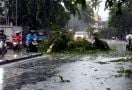 BMKG Beri Peringatan Dini Potensi Hujan Lebat di Riau Hari Ini - JPNN.com