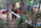 Roket Lapan Jatuh di Pemukiman Warga - JPNN.com