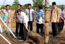Disambar Petir, Pohon Jokowi Meranggas - JPNN.com