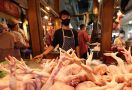 Produk Ayam Brazil Bakal Serbu Indonesia? Begini Kata Kemendag - JPNN.com