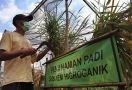 Mentan Syahrul Sebut Hari Krida Pertanian 2021 Sangat Spesial, Ini Sebabnya... - JPNN.com