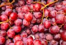Ladies, Ini 7 Manfaat Mengonsumsi Buah Anggur, Nomor 2 Bikin Kaget - JPNN.com