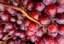 6 Manfaat Anggur untuk Kulit dan Gigi, Salah Satunya Hilangkan Flek Hitam - JPNN.com