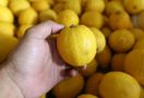 5 Manfaat Kulit Lemon yang Ajaib - JPNN.com