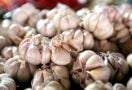 6 Bahaya Makan Bawang Putih Berlebihan, Bikin Penyakit Kronis Ini Makin Parah - JPNN.com