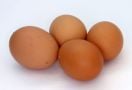 7 Manfaat Kulit Telur yang Bikin Kaget - JPNN.com