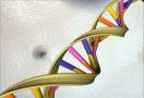 Mengenal Paspor Genomik, Mengandung Data Profil Genetik - JPNN.com