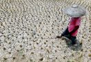 Antisipasi Kekeringan Akibat El Nino, BNPB dan BRGM Bekerja Sama Membuat Sumur Bor - JPNN.com