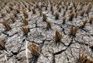 Dunia Hari Ini: El Nino Akan Menerjang Australia, Warga Diminta Bersiap - JPNN.com