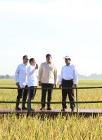 JPNN.com