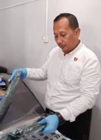 JPNN.com