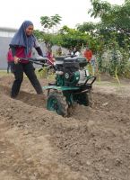 JPNN.com Jatim