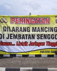 JPNN.com Jogja