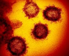Epidemi Virus Corona Pernah Terjadi di Zaman Purba, Baru Reda Setelah 20 Ribu Tahun - JPNN.com