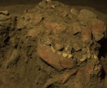 Fosil Remaja Purba Toalean di Sulawesi Ungkap Hubungan dengan Penduduk Asli Australia - JPNN.com