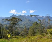 Penyandera Menuntut Uang Tebusan untuk Membebaskan Profesor Australia di Papua Nugini - JPNN.com