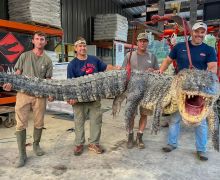 Perburuan Aligator di Mississippi Pecahkan Rekor Setelah Melewati Upaya yang Melelahkan Mental - JPNN.com