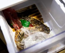 Sampah Makanan di Australia Menumpuk, Supermarket Diminta Perpanjang Masa Kadaluwarsa Produk - JPNN.com