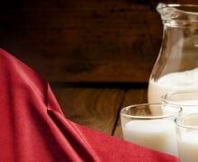 Produsen Susu Australia Melihat Peluang dari Rencana Makan Siang Gratis Prabowo - JPNN.com