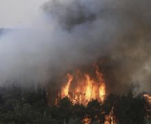 Dunia Hari Ini: Israel Berlakukan Keadaan Darurat Akibat Kebakaran Hutan - JPNN.com