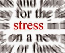 5 Cara ini Bisa Menjaga Agar Stres tidak Memengaruhi Kesehatan Otak - JPNN.com