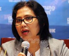 PPP Minta NasDem Jentelmen Tinggalkan Kabinet, Respons Uni Irma Menohok - JPNN.com