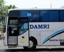 DAMRI Layani Rute Jawa-Bali, Berapa Tarifnya? - JPNN.com