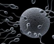 Waspada Bro! 6 Hal Ini Bisa Menggangu Fertilitas - JPNN.com