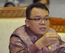 Soal Megawati Jadi Amicus Curiae, Begini Kata Saleh PAN - JPNN.com