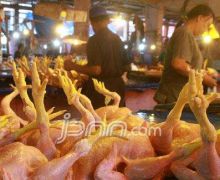 Harga Daging Ayam Naik di Pasar Induk Kramatjati - JPNN.com