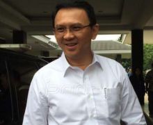 Jika Ahok Dukung PDIP dan Jokowi, Adi: Itu Cukup Sensitif - JPNN.com