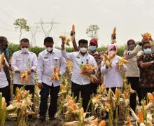 Pimpin Panen Jagung Serentak, SYL Sampaikan Perintah Jokowi - JPNN.com