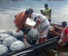 Ikan Mati di Danau Maninjau Terus Bertambah, Kini Totalnya Sebegini - JPNN.com