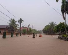 Banjir Melanda Pesisir Selatan, BPBD: Fokus Utama Kami Menyelamatkan Warga - JPNN.com