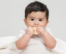 Bunda Harus Memberi Nutrisi Terbaik untuk Si Kecil pada 1.000 HPK - JPNN.com