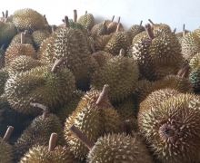 Ramah untuk Jantung, Ini 6 Manfaat Mengejutkan Buah Durian - JPNN.com