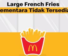 Aduh, McDonald's Tak Lagi Jual French Fries Ukuran Besar - JPNN.com