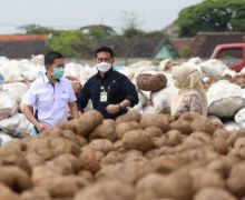 Kementan Manfaatkan Teknologi Radiasi Sinar Gamma untuk Genjot Produksi Porang - JPNN.com