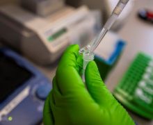 Riset DNA Ungkap Manusia Purba Afrika Berjalan Melintasi Benua demi Cari Jodoh - JPNN.com