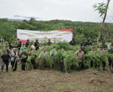 Bea Cukai, Polisi, dan TNI Temukan Ladang Ganja di Aceh, Beratnya 40 Ton - JPNN.com