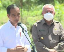 Ini Agenda Jokowi Setelah Para Gubernur Bergiliran Tinggalkan Titik Nol IKN Nusantara - JPNN.com
