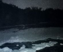 Sungai Cileungsi Keluarkan Bau Tak Sedap, Warga: Buka Mulut, Hirup Udara Pahit - JPNN.com