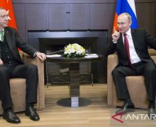 Putin Menang Telak di Pilpres Rusia, Erdogan Menyambut Gembira - JPNN.com