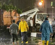 Hujan Deras, Pak Wali Kota Pakai Jas Hujan Kuning ke Tengah Jalan - JPNN.com