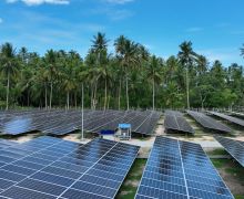 PLN Indonesia Power Kebut Pembangunan PLTS 500 MW di 5 Lokasi - JPNN.com
