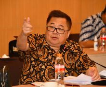 PSMTI Ajak Warga Keturunan Tionghoa Aktif Dalam Bidang Politik, Darmadi: Jangan Hanya Slogan - JPNN.com